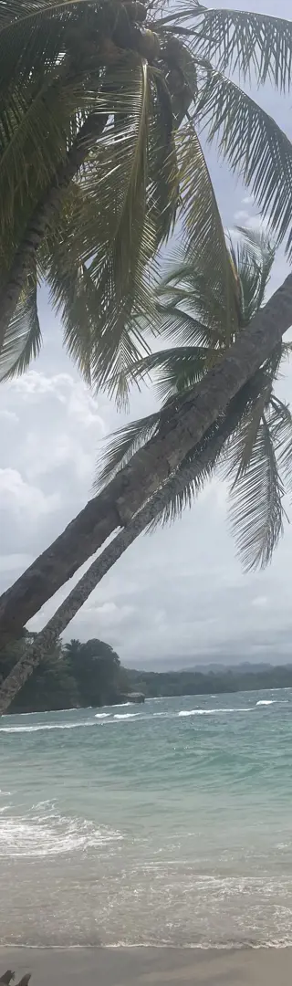 Postkartenaussicht am karibischen Strand von Cahuita